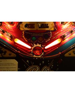 Illuminated Flipper Bats with Remote Control