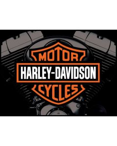 Harley Davidson Alternatieve Translite 1