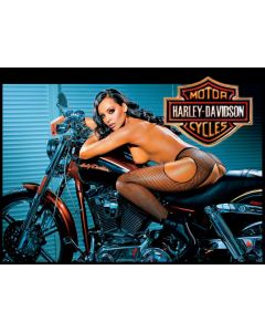 Harley Davidson Alternatieve Translite 4