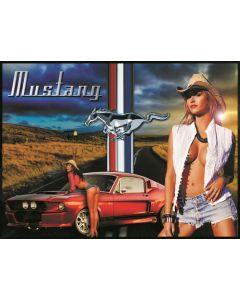 Mustang Alternatieve Translite 2