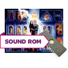 Addams Family Gold Sound Rom U15