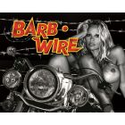 Barb Wire Alternatieve Translite