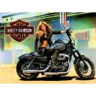 Harley Davidson Alternatieve Translite