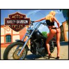 Harley Davidson Alternate Translite 3