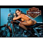 Harley Davidson Alternatieve Translite 4