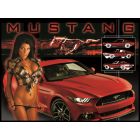 Mustang Alternatieve Translite 3