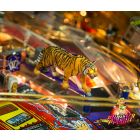 Theatre of Magic LED Tiger Modification